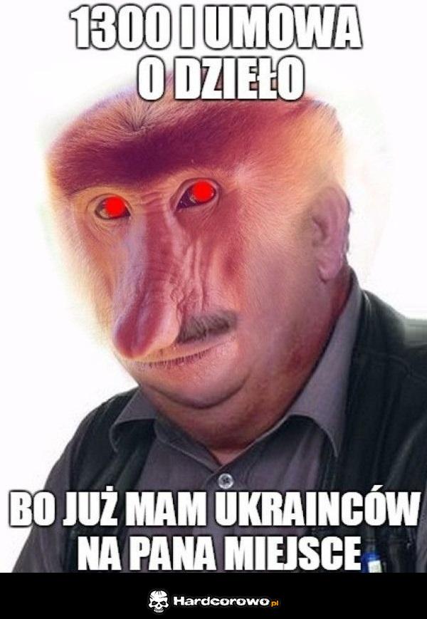 Dzisiejsi szefowie - 1