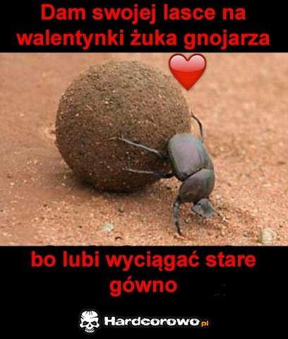Żuczek - 1