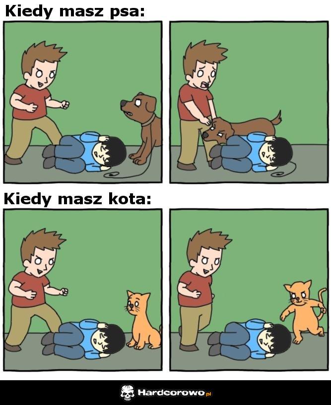 Pies a kot - 1
