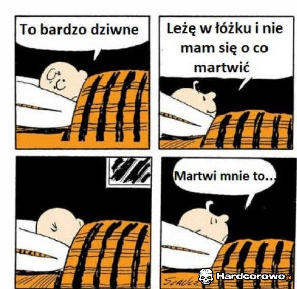 Martwi mnie brak zmartwień - 1