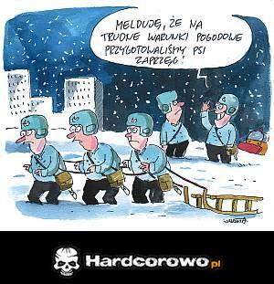 Psi zaprzęg - 1