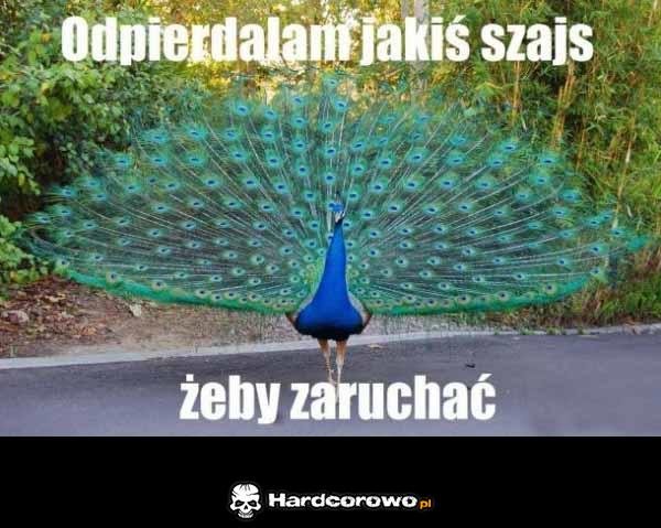 Trzeba się starać - 1