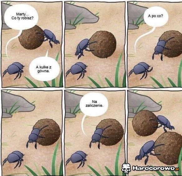 Studia takie są - 1