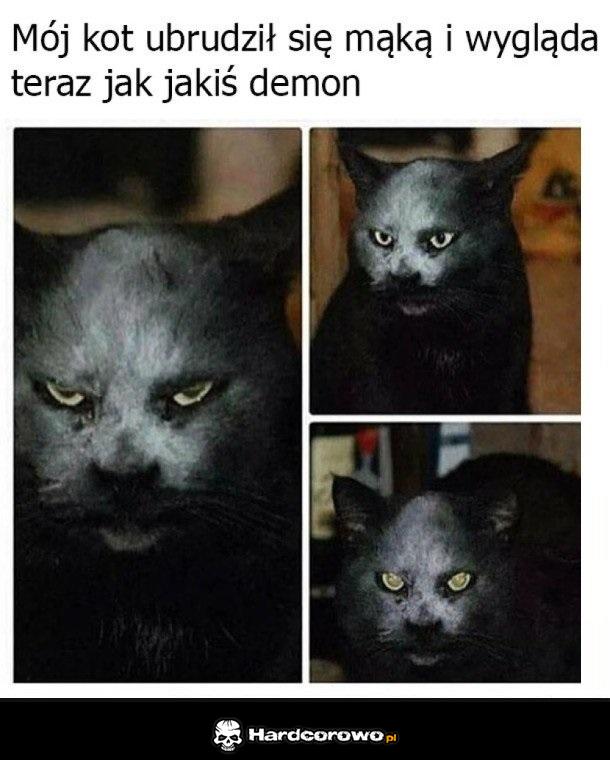 Demoniczny koteł  - 1