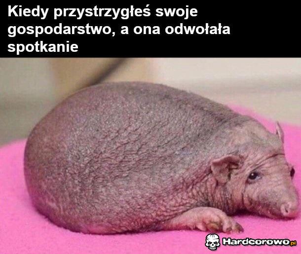 Dbanie o wygląd - 1