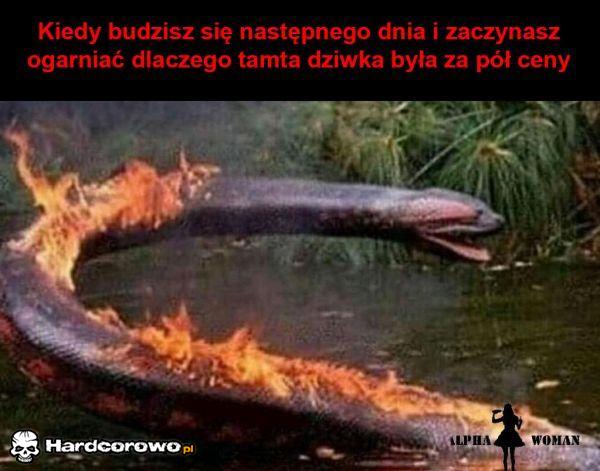 Pół ceny - 1