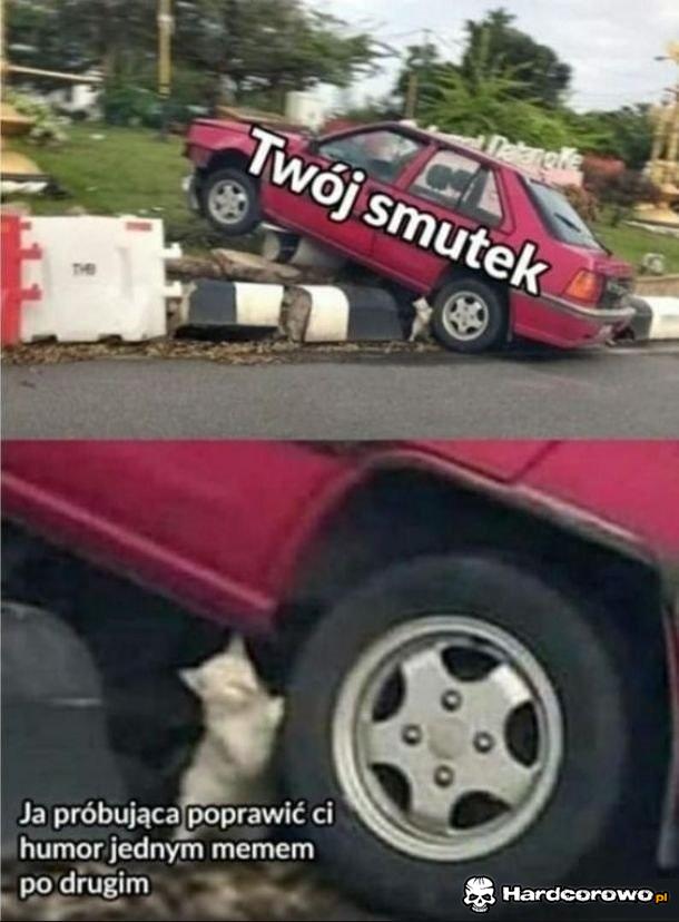 Dobry ziomek - 1