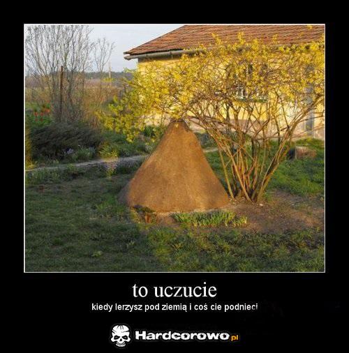 To uczucie - 1