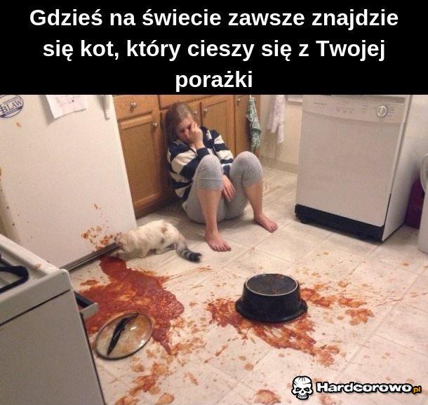Zawsze znajdzie się jakiś kot - 1