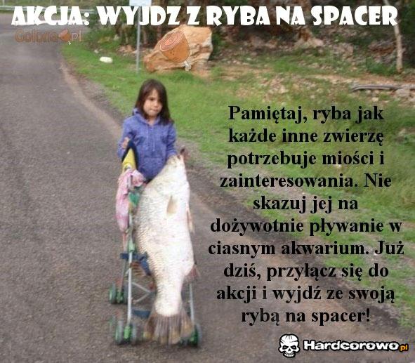 Wyjdź z rybą na spacer - 1