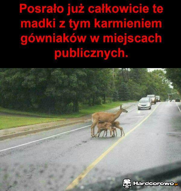 Karmienie - 1