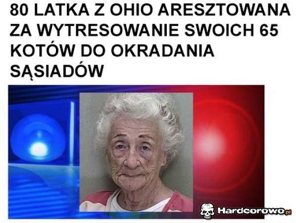 Dobra tresura - 1