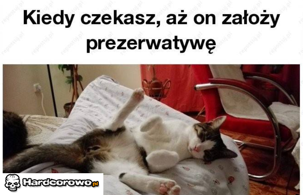 Oczekiwanie - 1