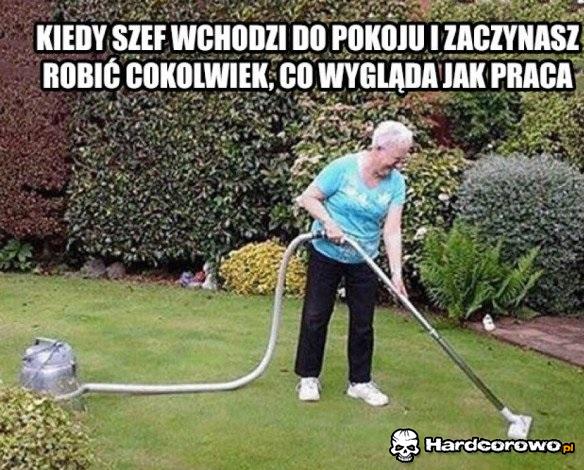 Pozerka - 1