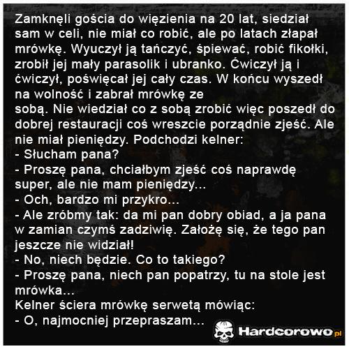 Zamknęli gościa do więzienia na 20 lat - 1