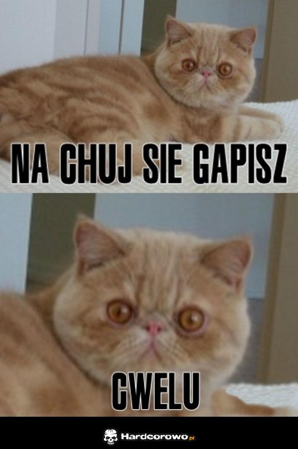 Problem? - 1