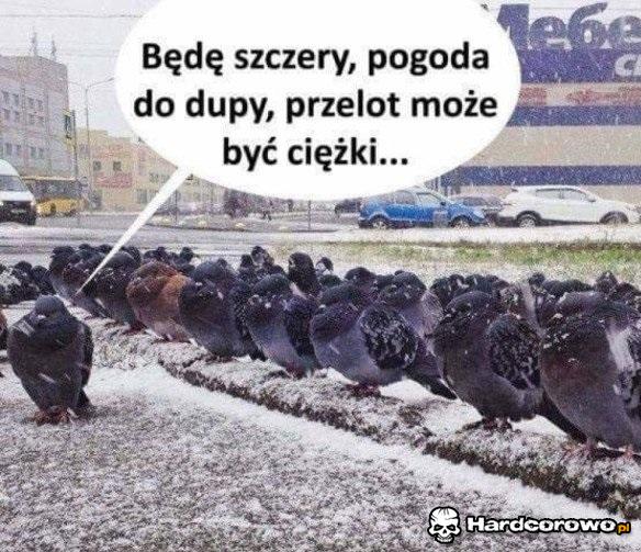 Odprawa przed bitwą - 1