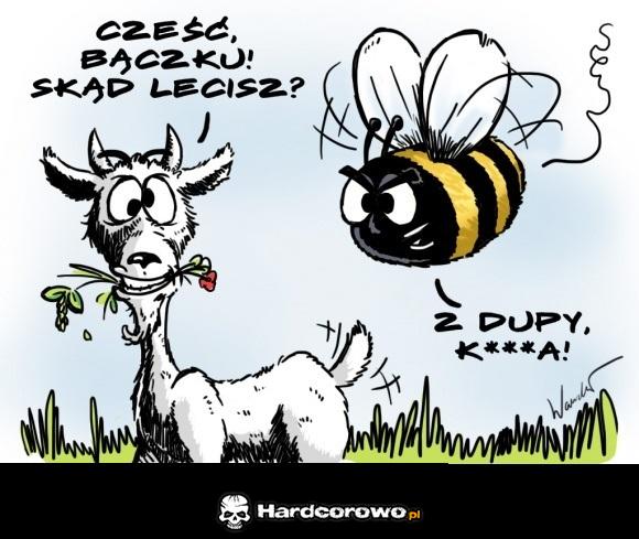 Bączek - 1