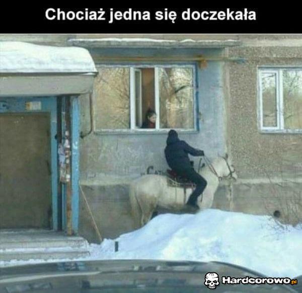 Królewicz przyjechał - 1