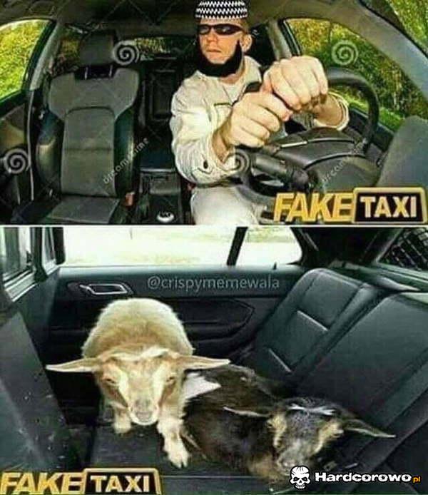 Fake Taxi - 1