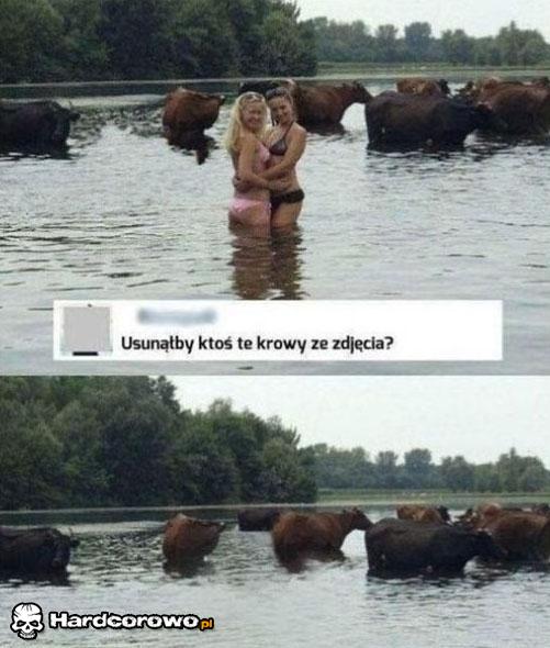 Usunięte krowy  - 1
