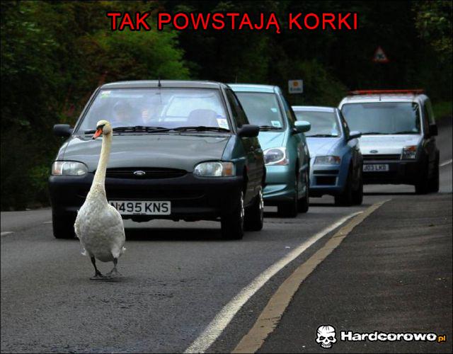 Tak powstają korki  - 1