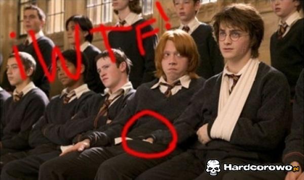 Harry szuka różdżki - 1