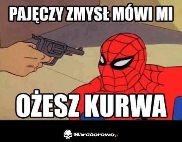 Pajęczy zmysł - 1