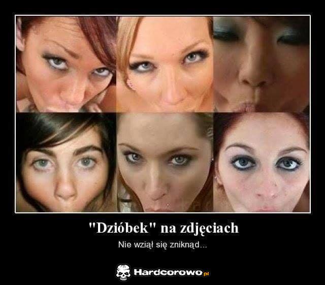 Dzióbek - 1