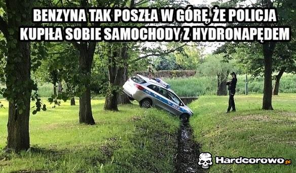 Witamy w Polsce - 1