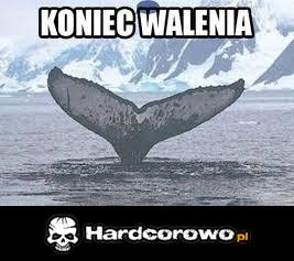 Koniec walenia - 1