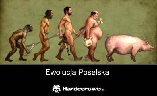Ewolucja Poselska - 1