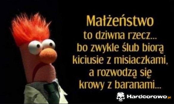 Małżeństwo - 1