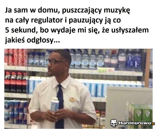 Sam w domu - 1
