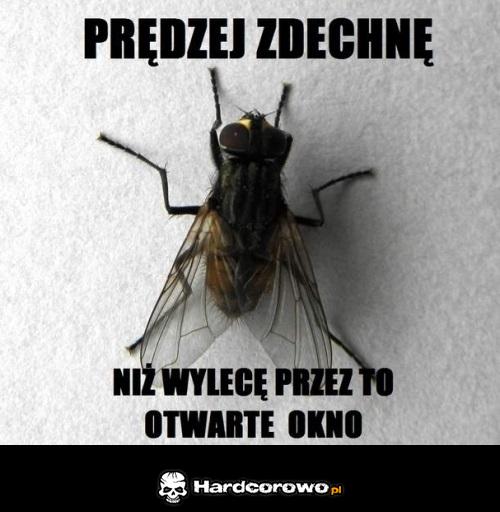Prędzej zdechnę - 1