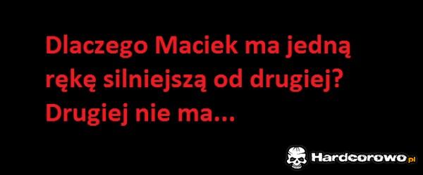 Maciek - 1