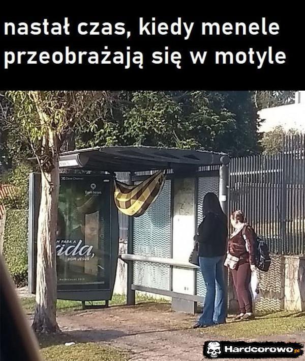  - 1