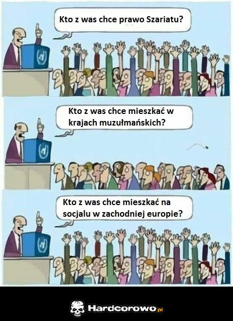 Uchodźcy w pigułce - 1