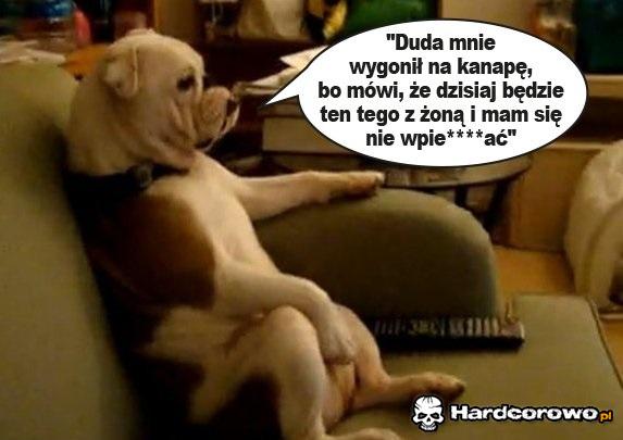Pies Piotra Dudy, Kacperek - 1