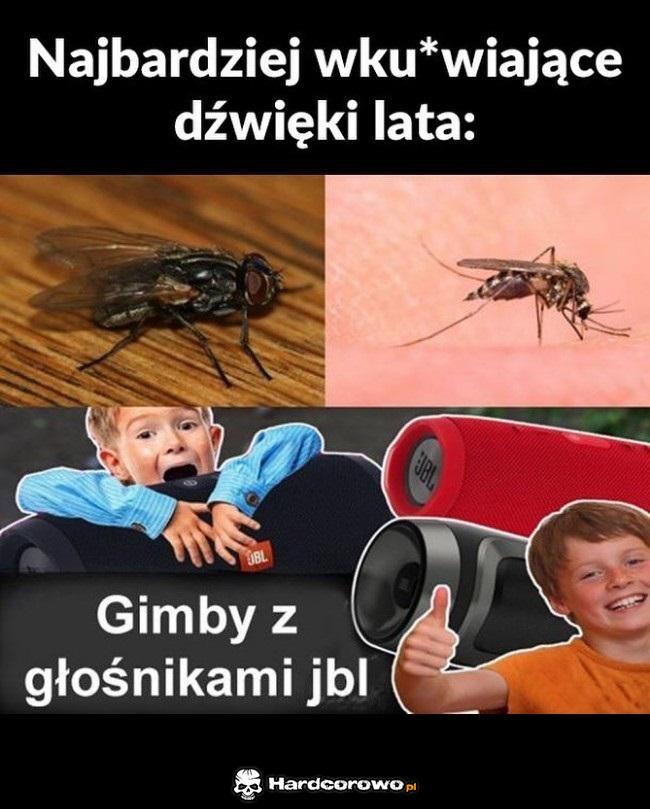 Najbardziej wkurzające dźwięki lata - 1