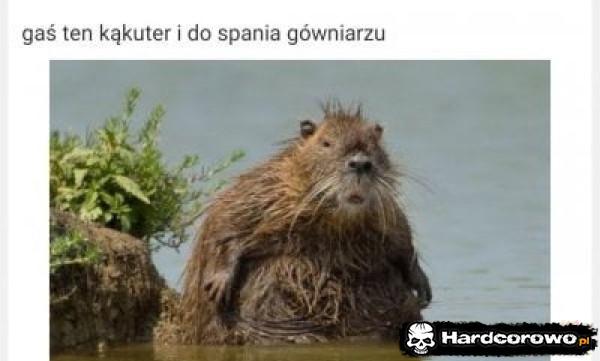  - 1