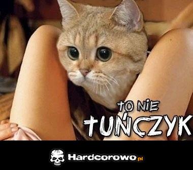 To nie tuńczyk  - 1