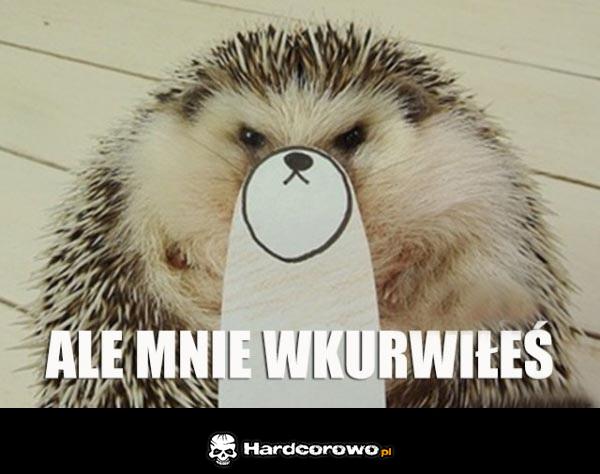 Ale mnie wkurwiłeś - 1