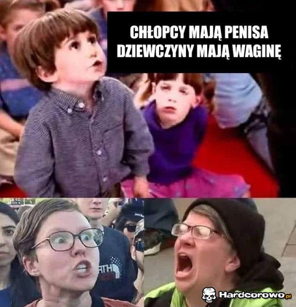 Takie są fakty - 1