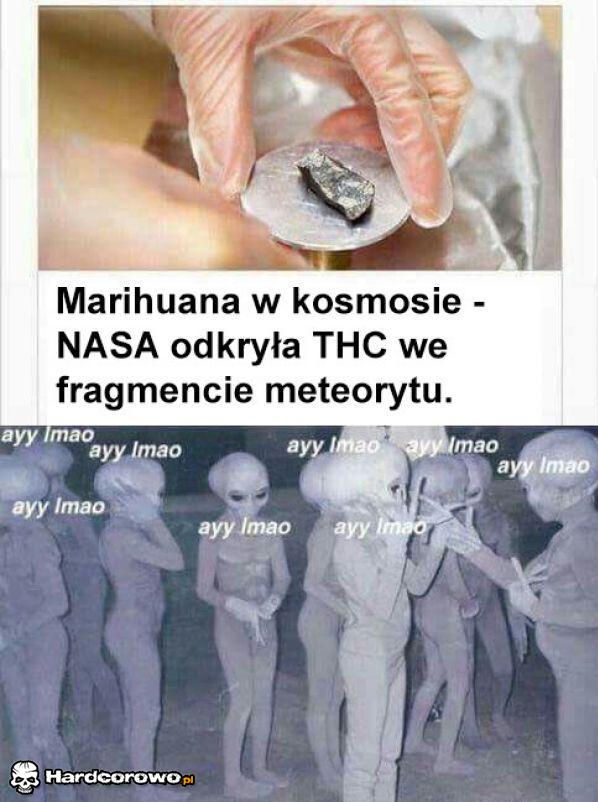 Marihuana w kosmosie - 1