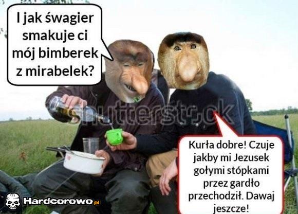 Janusz po wypiciu bimberka - 1