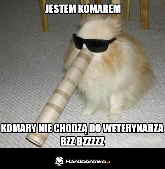 Jestem komarem  - 1