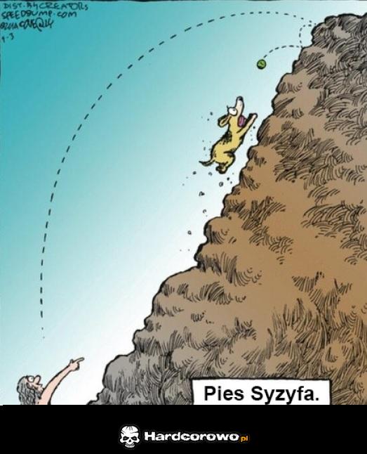Pies Syzyfa - 1