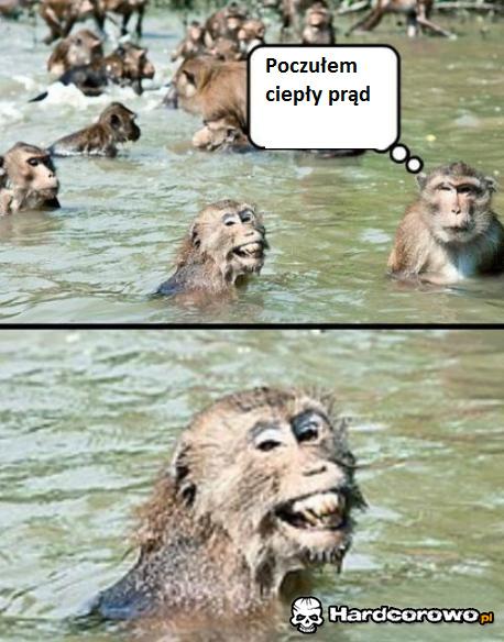 Ciepły prąd - 1