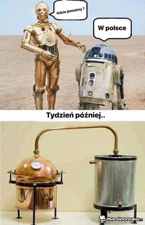 Polska - 1